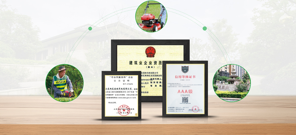 資質(zhì)優(yōu)勢(shì)